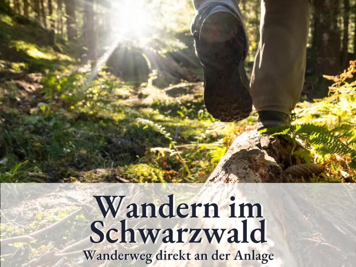 Relax-Apartment 164 Mit Indoor-Pool, Sauna, Kueche Und Netflix Schonach im Schwarzwald Bagian luar foto